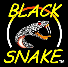 Black snake